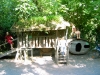 PICT0494.JPG