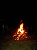 PICT0528.JPG